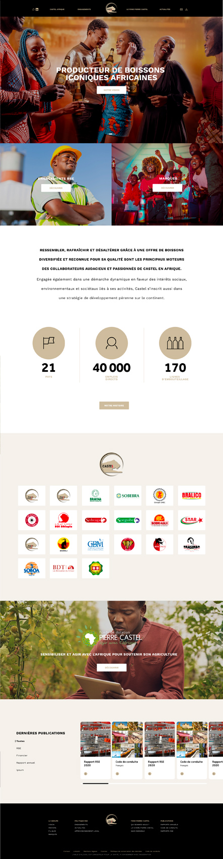 Vue d’ensemble de la page d’accueil du site Castel Afrique